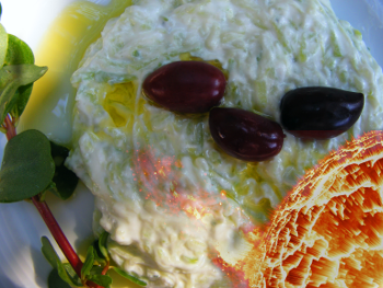 scifi-story-tzatziki3