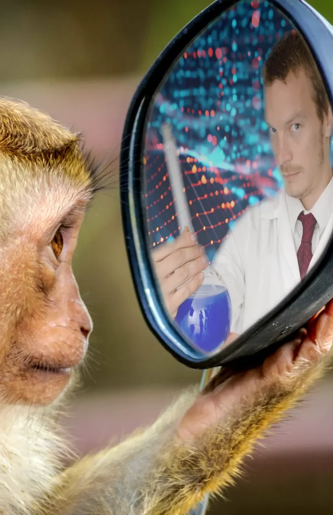 funny monkey story